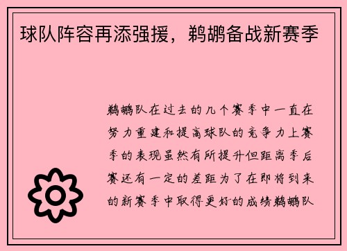 球队阵容再添强援，鹈鹕备战新赛季
