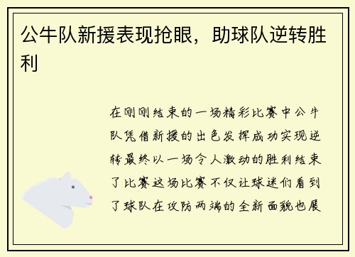 公牛队新援表现抢眼，助球队逆转胜利