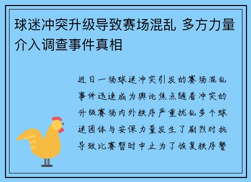 球迷冲突升级导致赛场混乱 多方力量介入调查事件真相